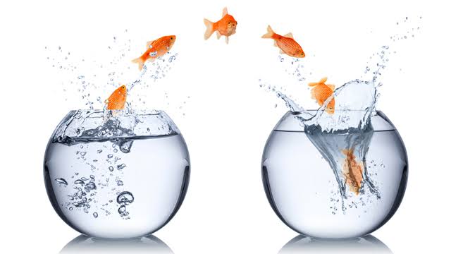 ビジネスで成功したかったらパラダイムシフトを起こせ