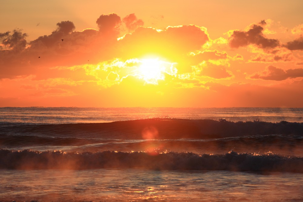 すぐやるで行動していきましょう