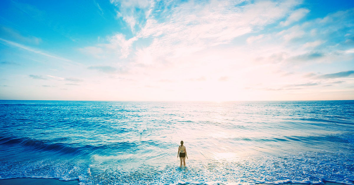 ビジネスで大成功を収めるには〜みんなが行く野原には野いちごはない〜